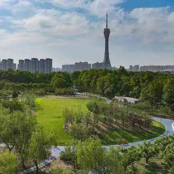 打卡遛娃健身新地标！郑州九大体育公园惠民开放→