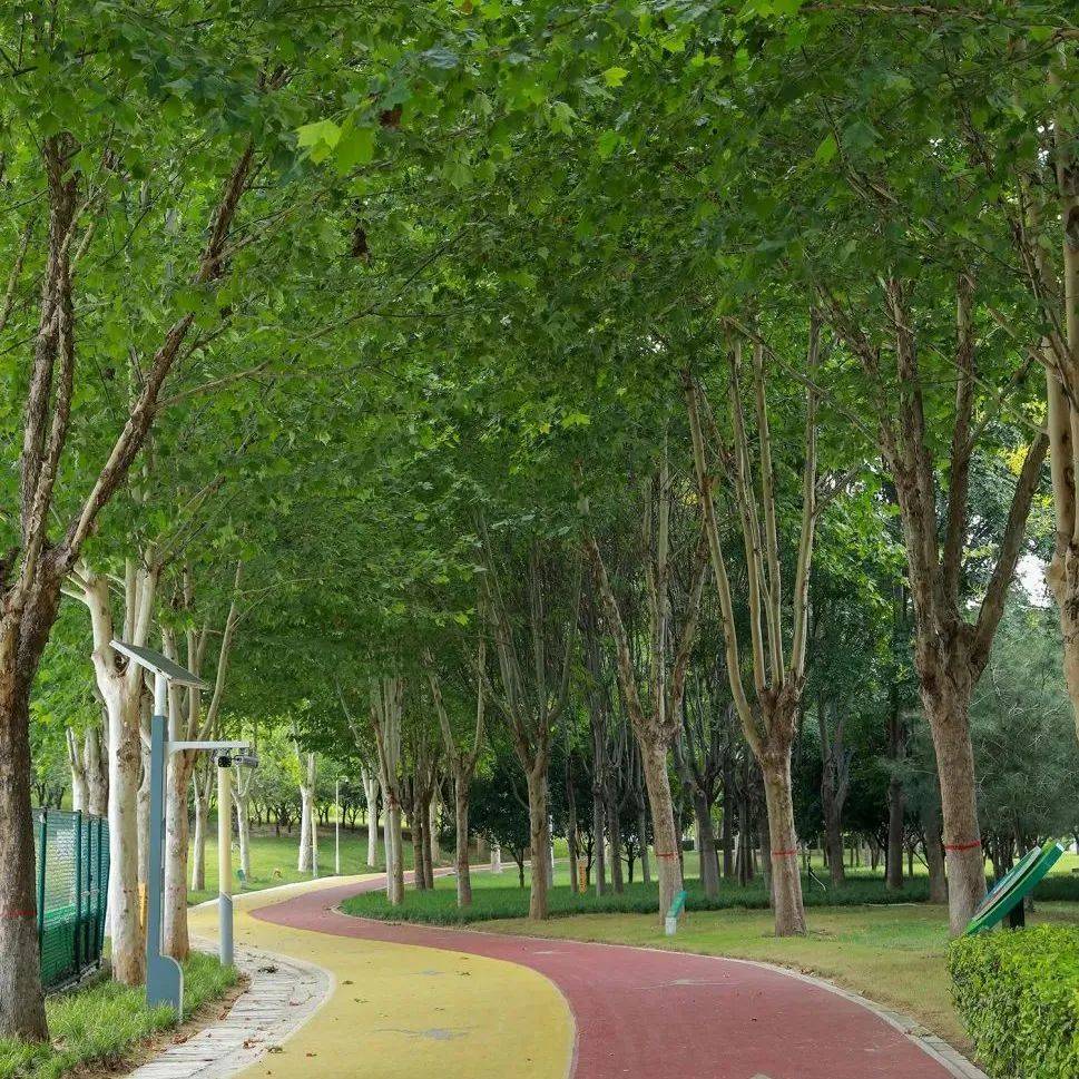 打卡遛娃健身新地标！郑州九大体育公园惠民开放→