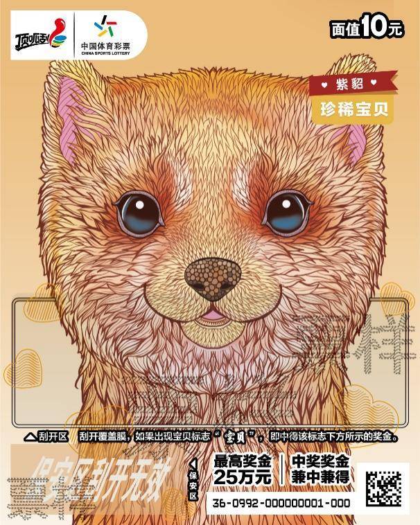 5款即开型体育彩票齐上新，夏日限定惊喜放送中