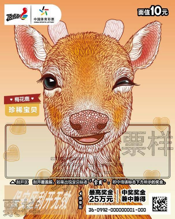 5款即开型体育彩票齐上新，夏日限定惊喜放送中